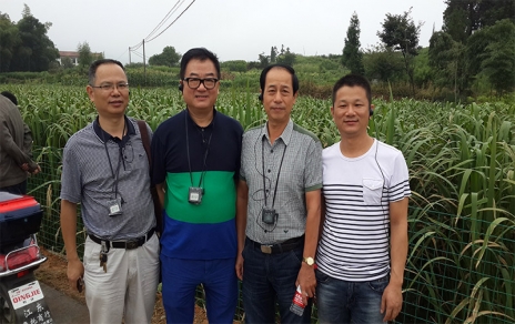 2014年8月，中国蔬菜流通协会会长戴中久与公司、市场辅导一路调查蔬菜基地