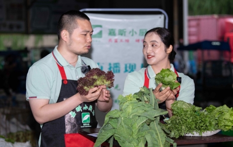 令媛如玉，一口清心--生菜?油麦菜?莴笋直播专场